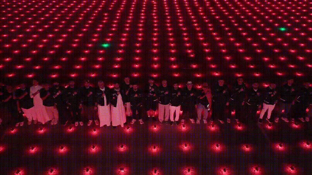 11.gif